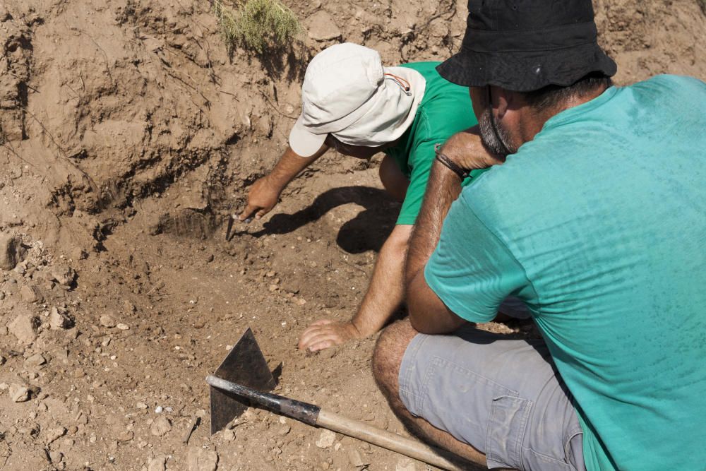 Los profesionales analizan el área de trabajo.