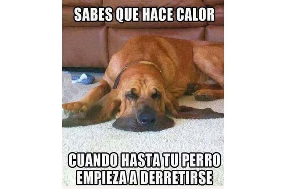 La fuerte ola de calor se hace meme en las redes