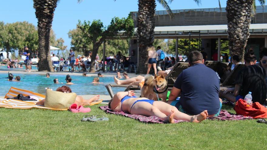 Piscines i platges han rebut els primers banyistes de la temporada.