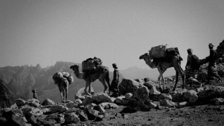 Socotra, la isla de los genios