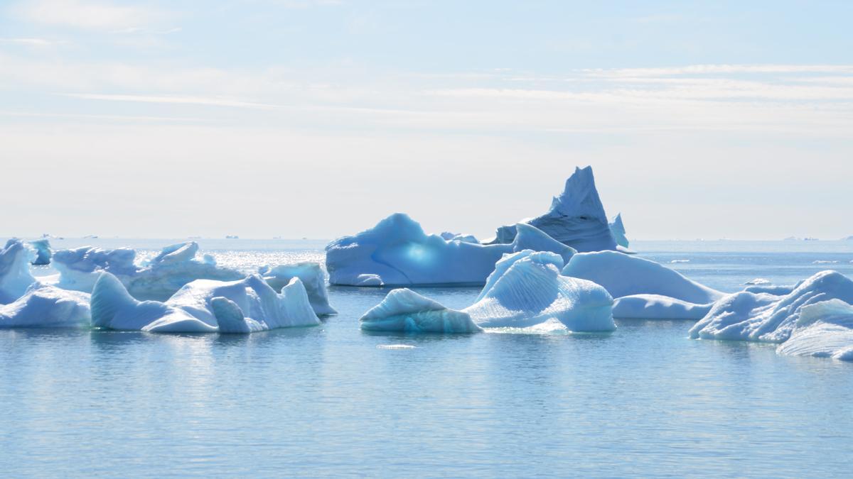 Icebergs en el océano