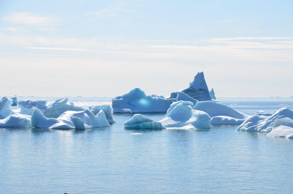 Icebergs en el océano