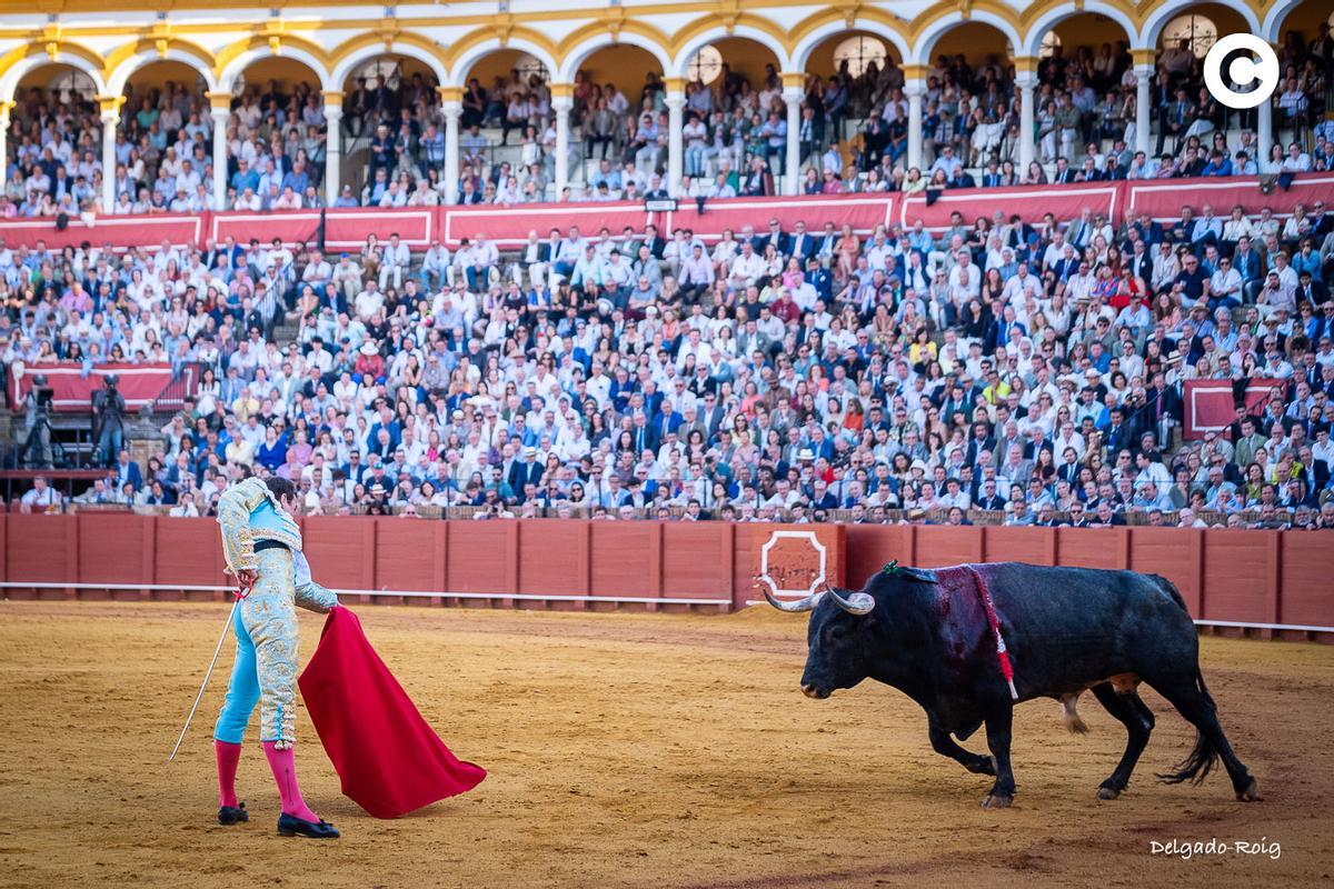 ‘Lamparillo’ arrancándose con alegría.