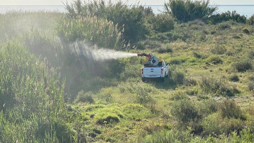 Sanidad detecta en El Campello un caso de virus zika por picadura de mosquito