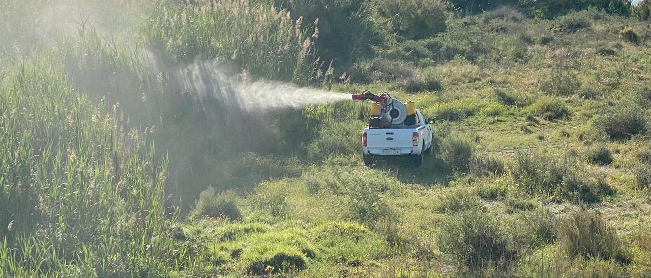 Tareas de fumigación contra los mosquitos en la desembocadura del río Seco el pasado mayo