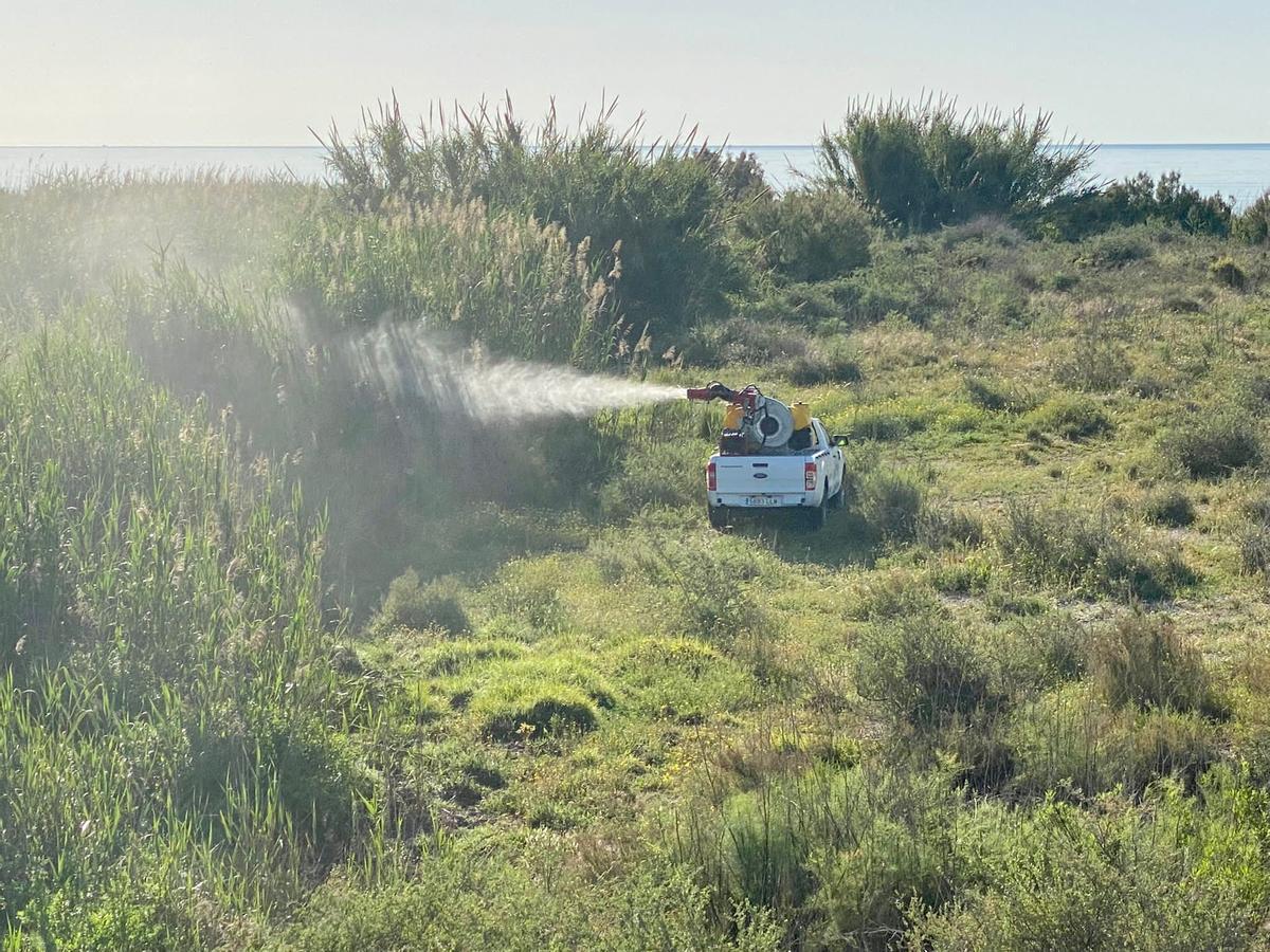 Tareas de fumigación contra los mosquitos en la desembocadura del río Seco el pasado mayo