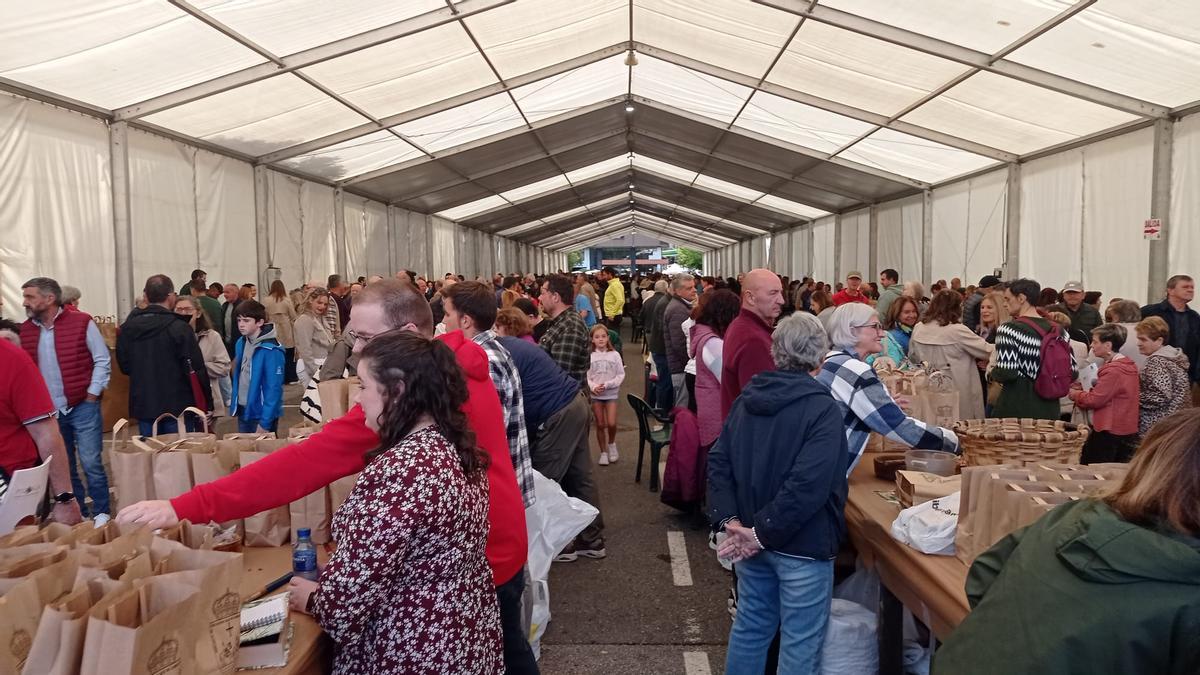 Ambiente en la carpa