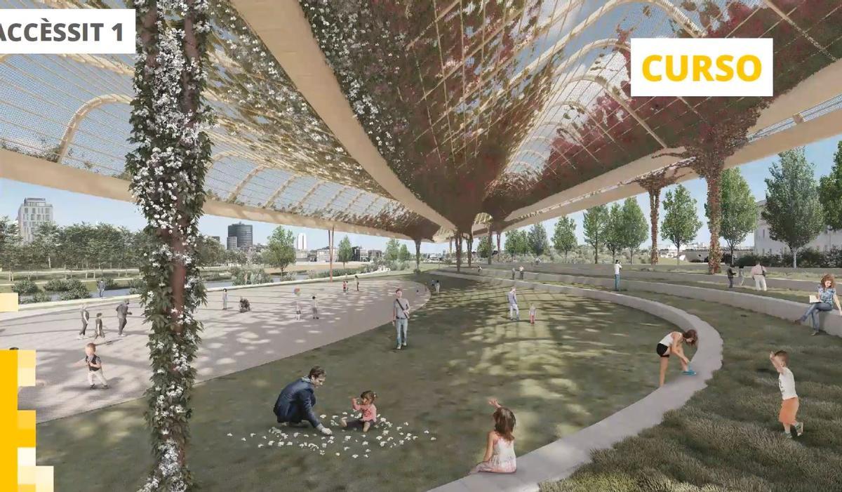 Curso (accésit, no finalista)