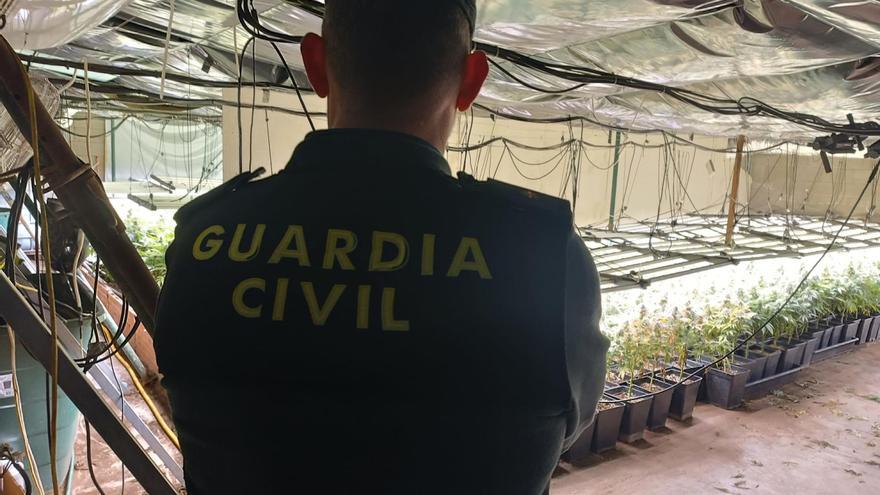 Desmantellen un cultiu amb més de 1.000 plantes de marihuana en una nau industrial de Girona