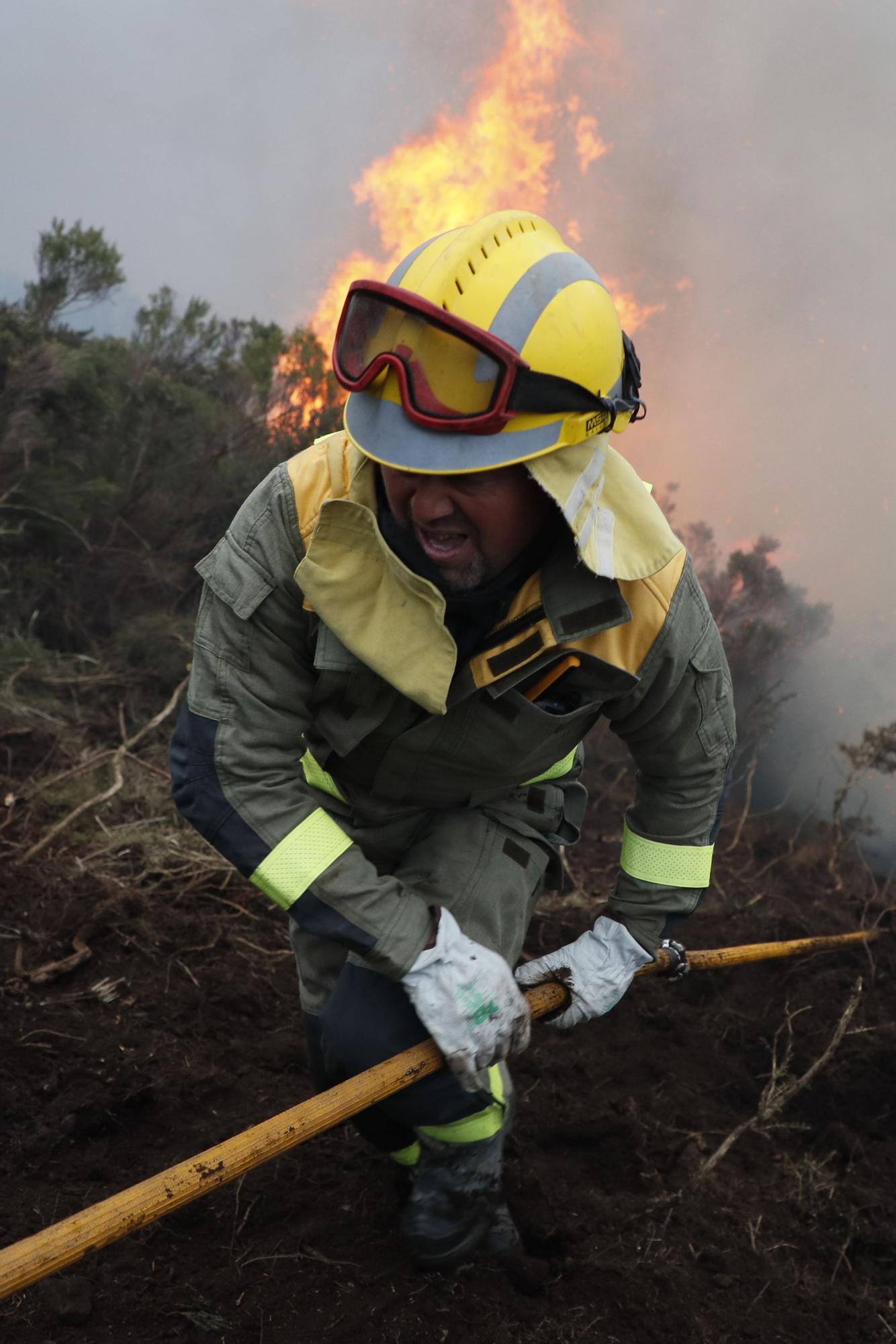 Incendio forestal en el concello lucense de Baleira