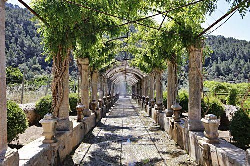 Die Kunsthistorikerin Júlia Ramon erklärt auf einem Rundgang durch die Jardins d’Alfàbia, aus welcher Zeit die Allee, die Wasserspiele und die Bäume stammen