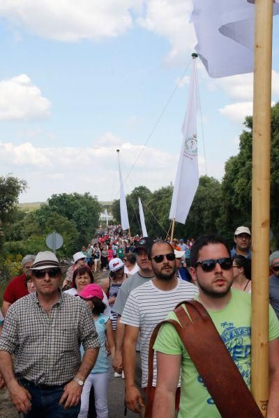 Romería de la Virgen del Castillo en Fariza