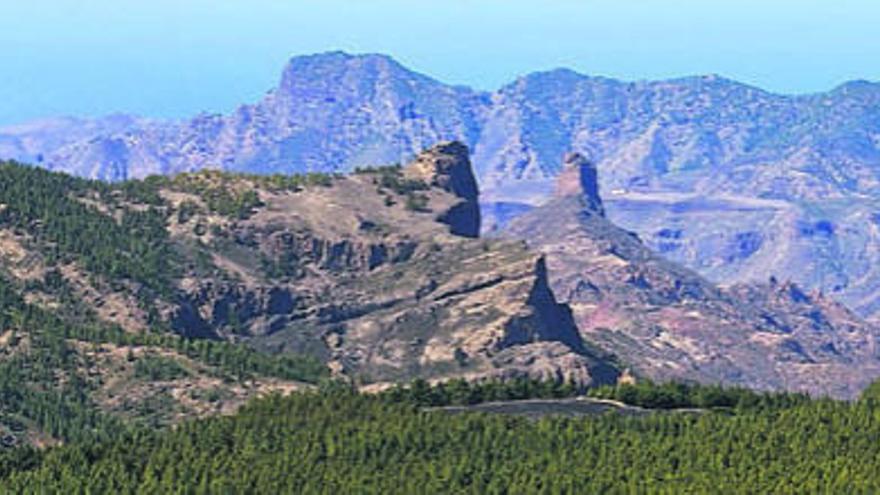 Foto tomada en la década de los 50 desde el Pico de las Nieves, donde se aprecia la deforestación de la isla.