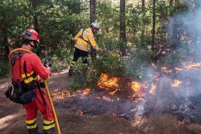 La UME realiza prácticas de prevención de incendios en Gran Canaria