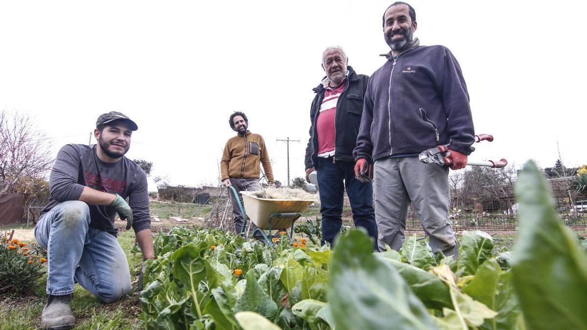 Miembros de la cooperativa Actyva, en sus huertas, este martes.