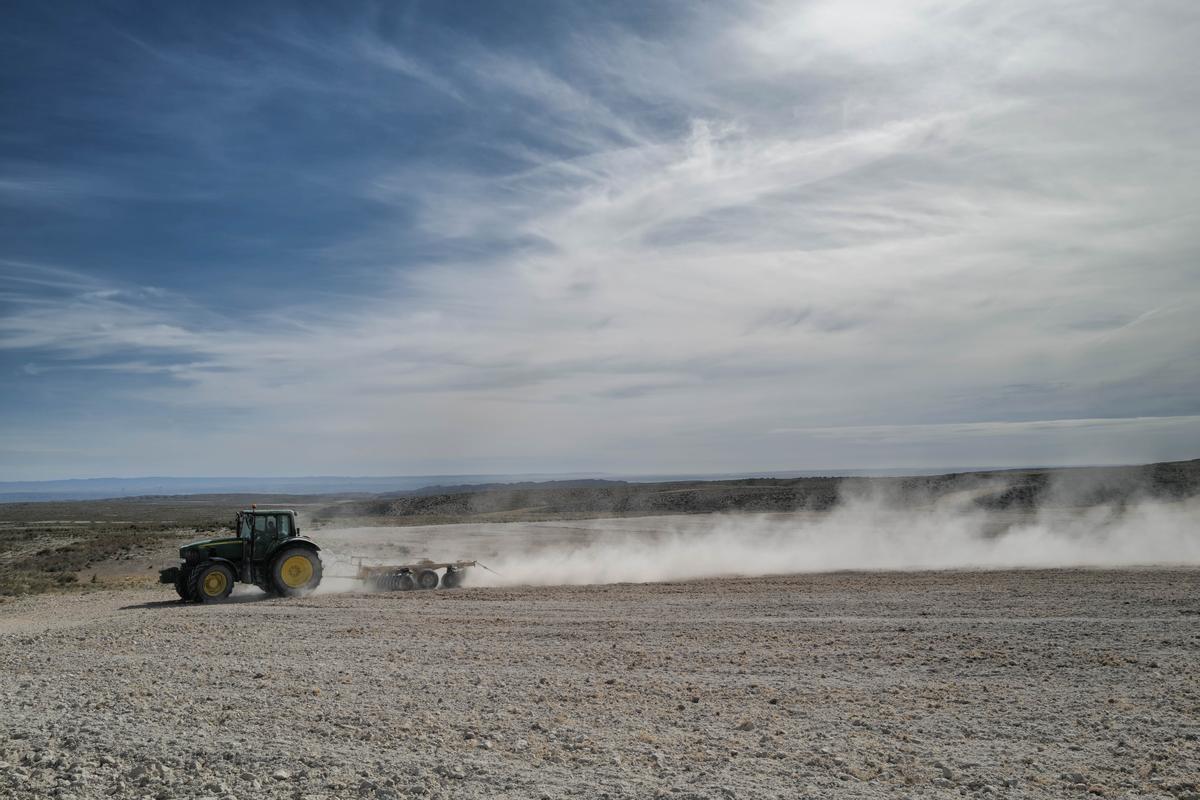 Agricultores en Aragón están afectados por los efectos de la sequía.