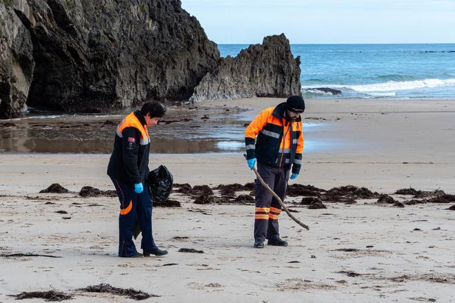 En imágenes: arranca el dispositivo de limpieza de pellets en 11 playas de Asturias