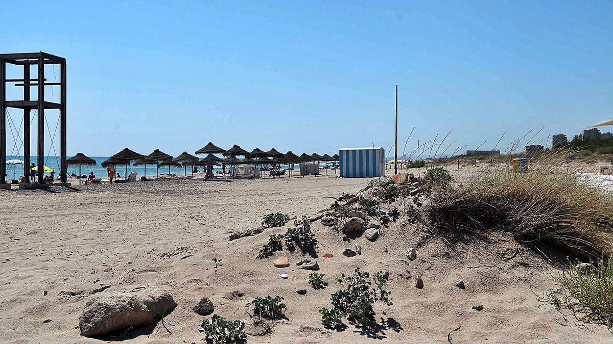 Les 30 platges de València que el Govern regenerarà