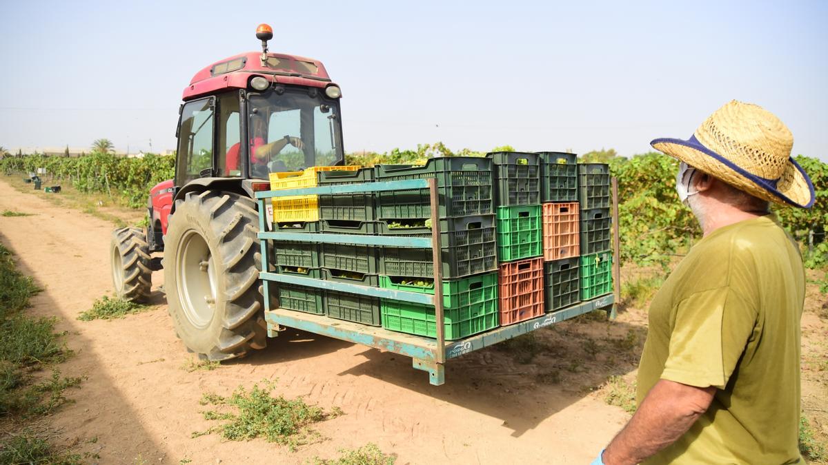 Un tractor en el campo.