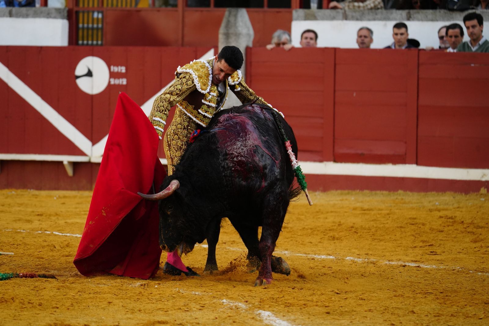 El festejo taurino de Pozoblanco, en imágenes