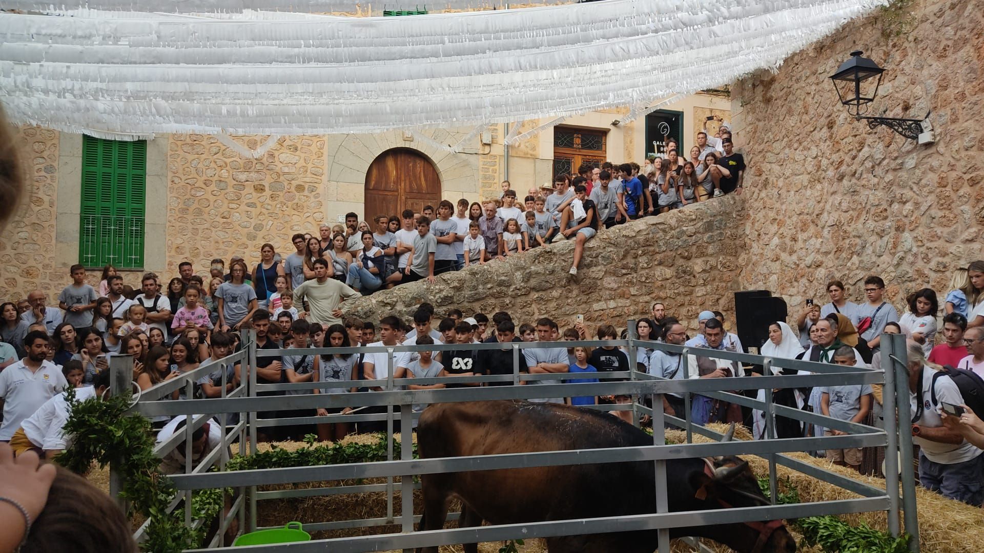 So sah es beim ersten Stierlauf in Fornalutx auf Mallorca nach Corona aus