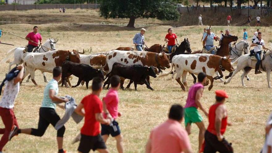 Numerosos corredores en los espantes celebrados el pasado año.