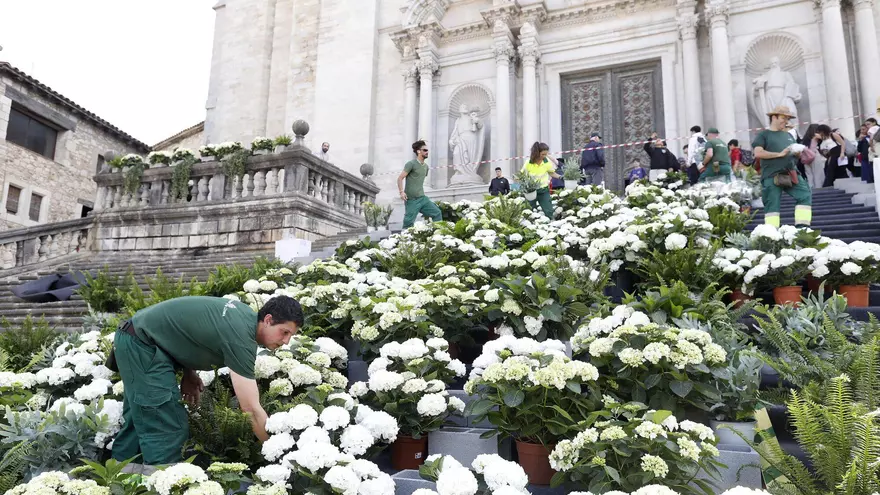 Vídeo | Girona comença a engalanar-se per Temps de Flors