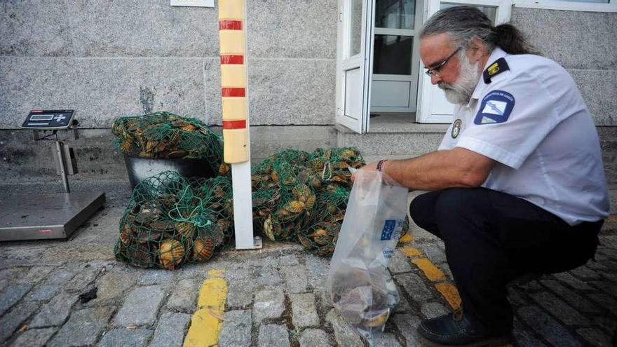 Un agente de Gardacostas con una de las bolsas de muestra sobre las vieiras intervenidas en Vilanova. // Iñaki Abella