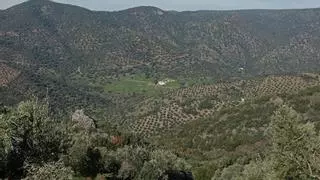 Más de 270.000 agricultores andaluces se podrán beneficiar de la rebaja de los módulos del IRPF