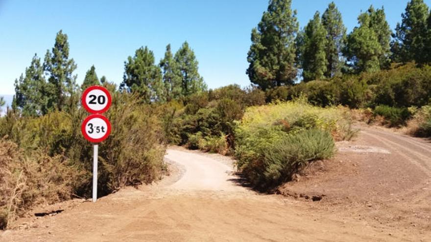 Pista forestal en Tenerife.