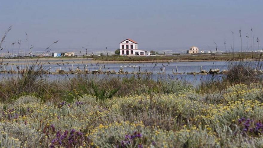 Medio Ambiente elimina el sendero de La Mota del Mojón y crea el de Los Tarays en las Salinas