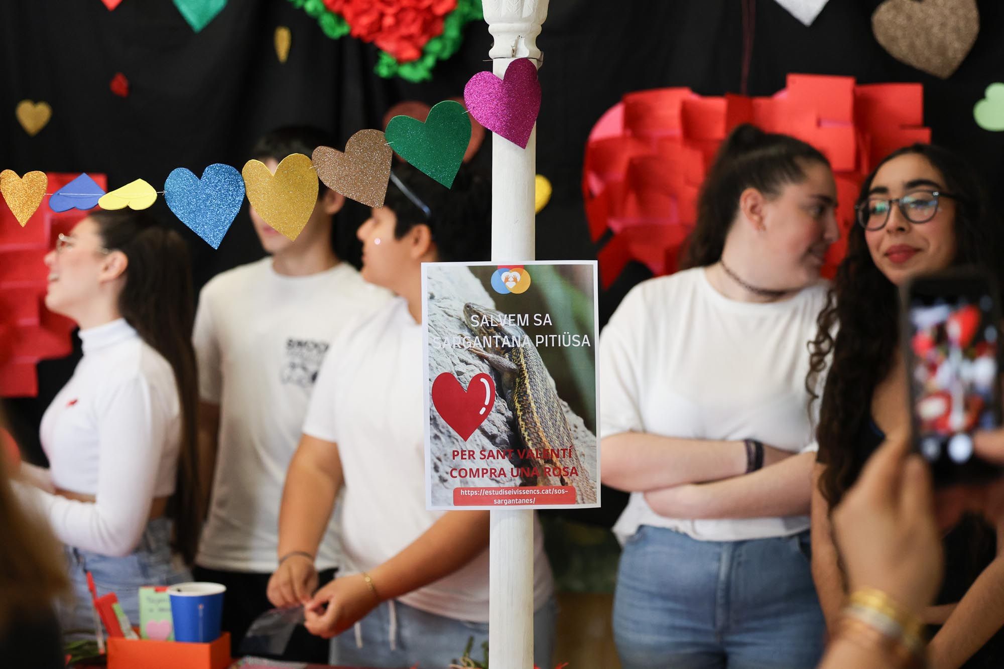 Alumnos de sa Blanca Dona venden rosas por San Valentín