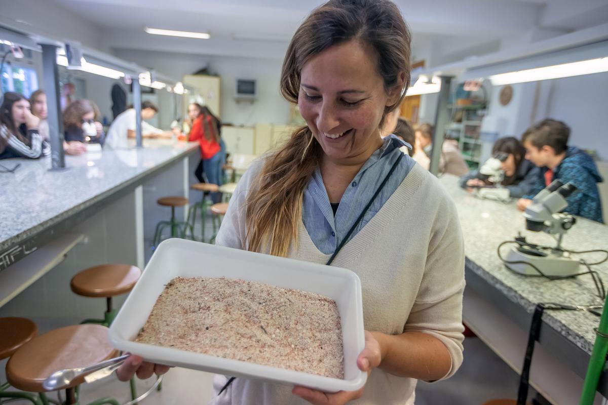 Un instituto «eco friendly» en Elche