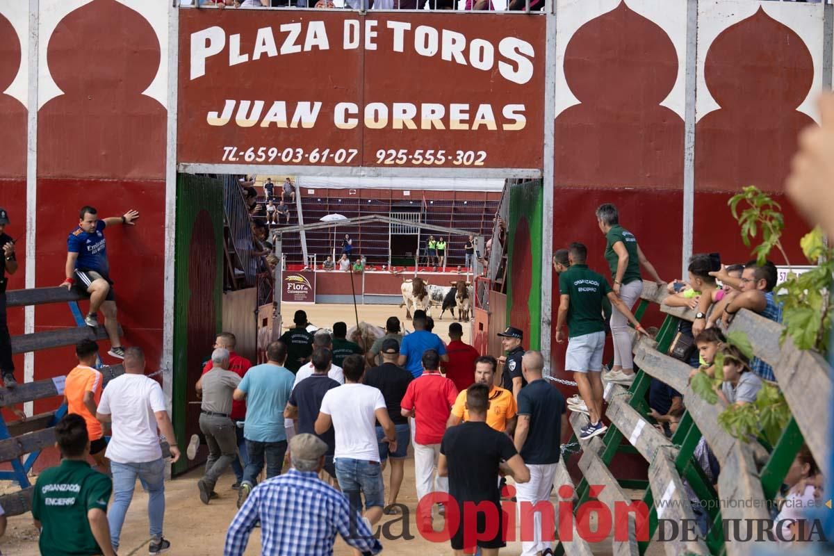 Primer encierro de la Feria del Arroz de Calasparra