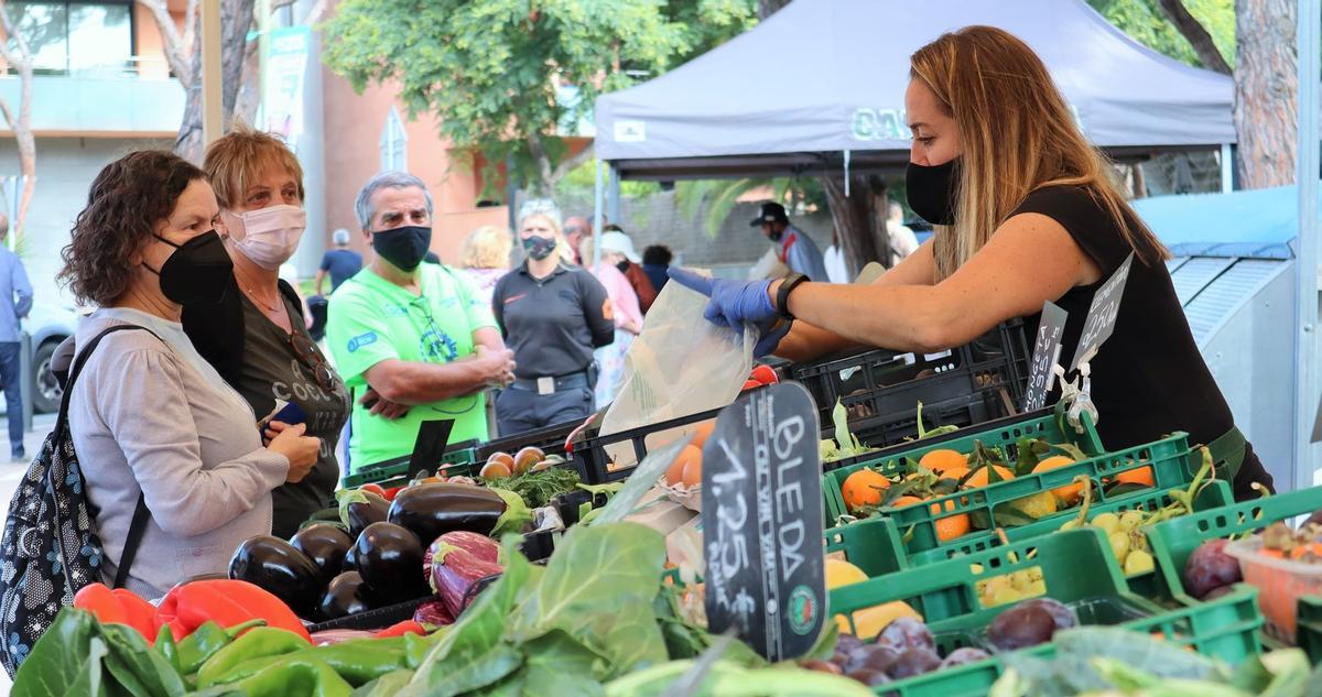 Gavà convida a participar en el disseny de l’Estratègia de l’Alimentació Sostenible, Accessible i Saludable