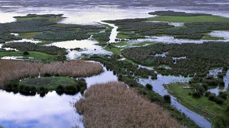 Europa reclama más informes sobre el gaseoducto de Doñana