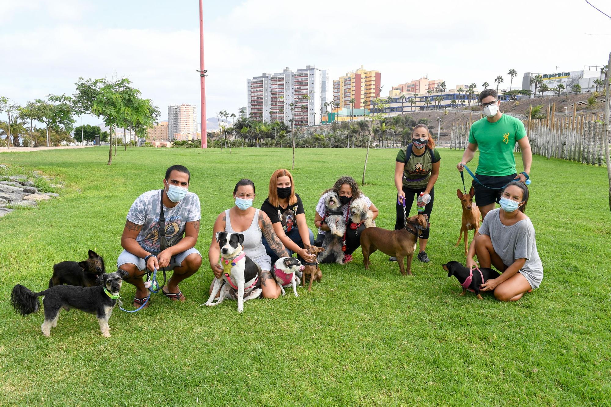 Jornada de domingo en el parque de La Ballena