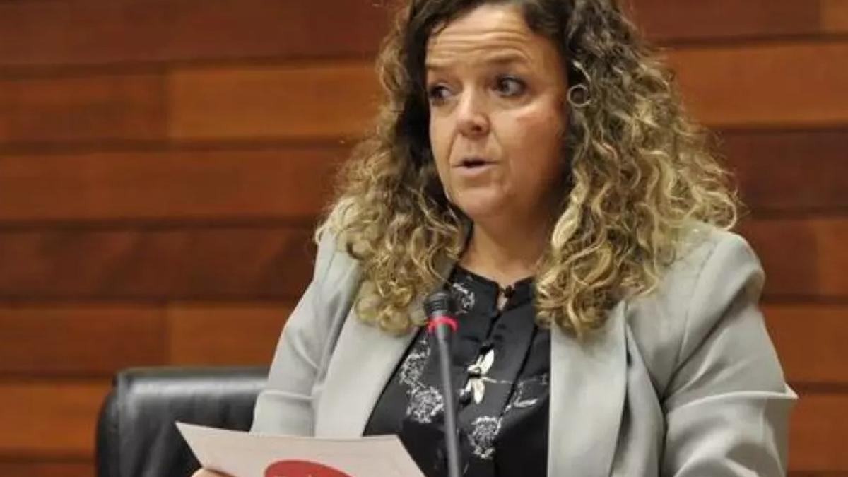 Liberum pide al TSJEx que cite como testigos a los compañeros de Gallardo que facilitaron su entrada en la Asamblea de Extremadura