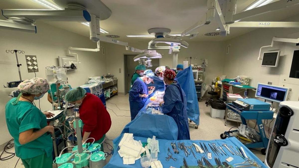 Un momento de la extracción de órganos en el quirófano del hospital de Gandia. | LEVANTE-EMV