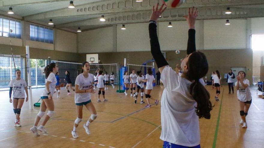 El futuro del voleibol femenino gallego se concentra en Cambados