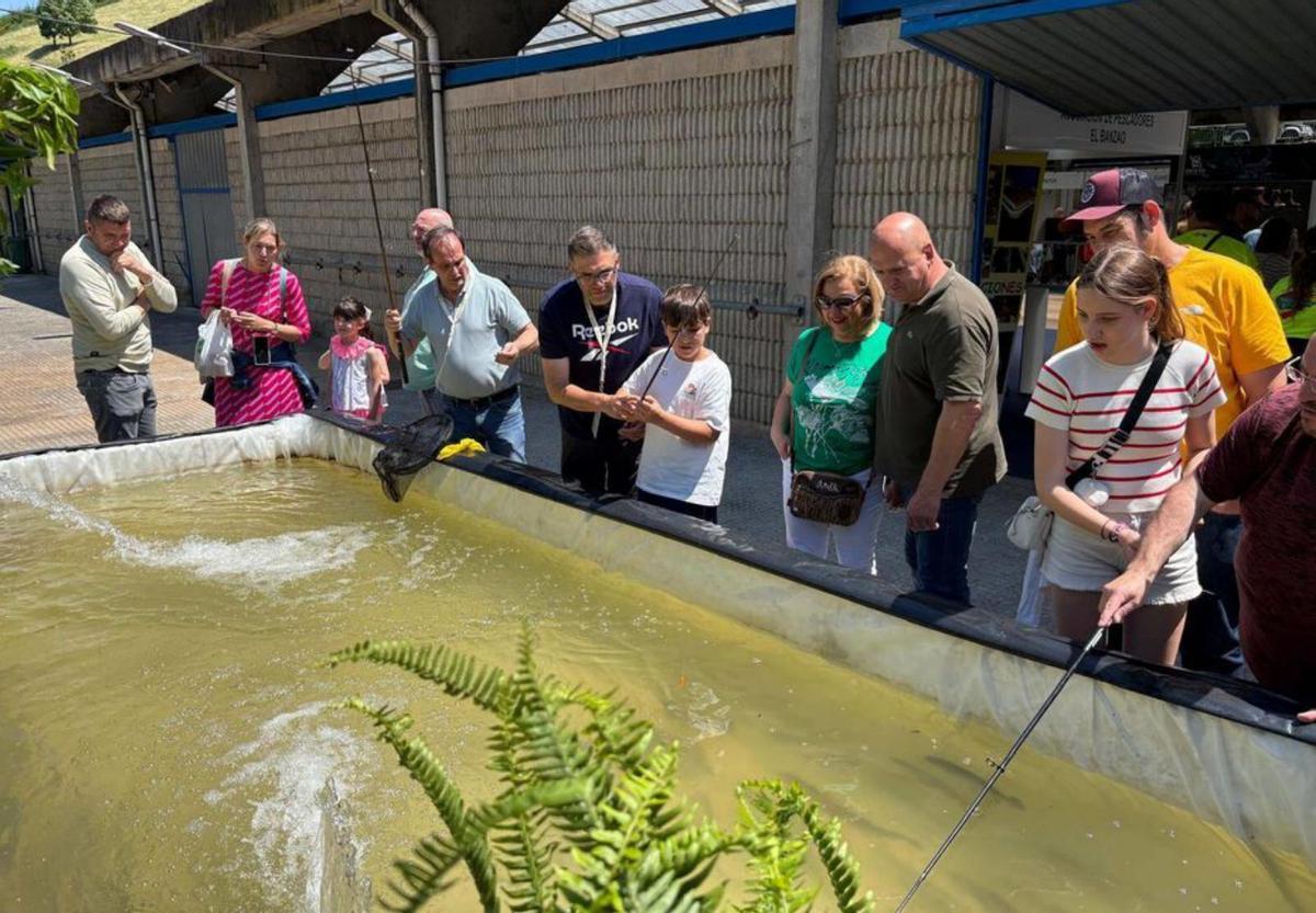 Narcenatur supera las previsiones