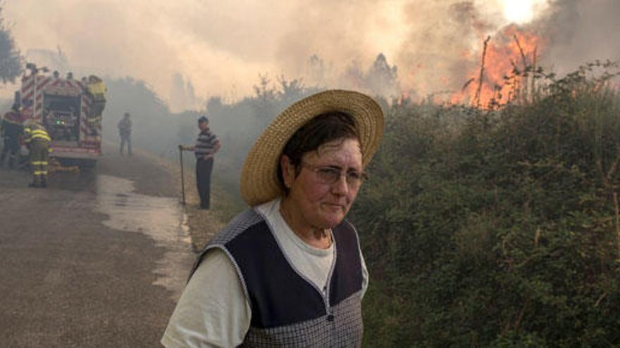 Dos incendios en Ourense queman más de 1.000 hectáreas