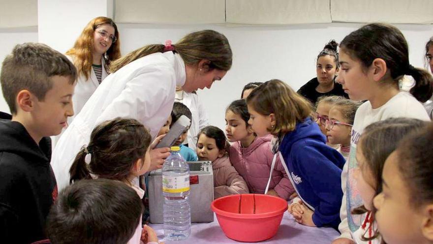 Taller de experimentos científicos para niñas en Montilla