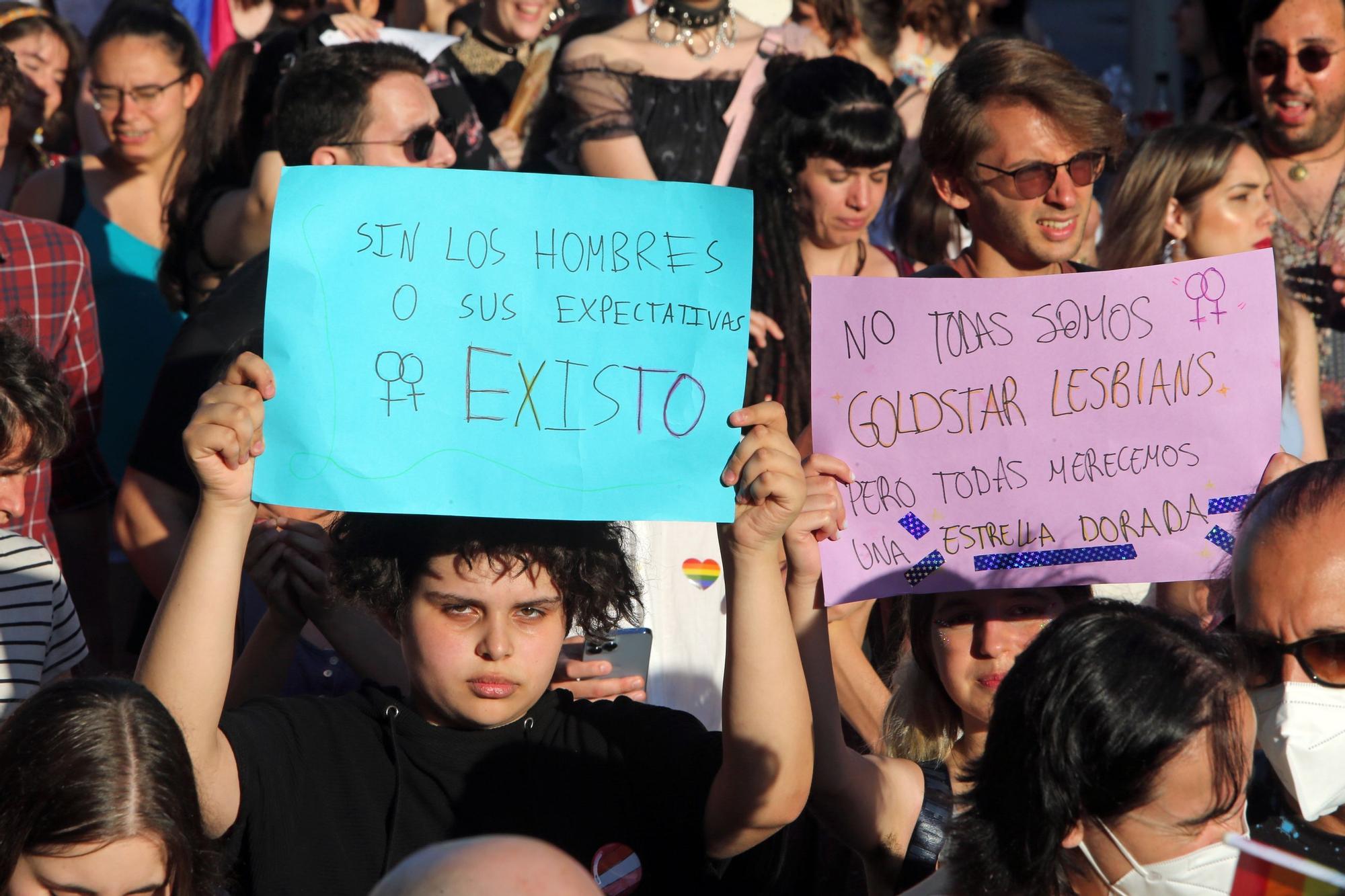 Paso firme en defensa de los derechos LGTBI en Vigo