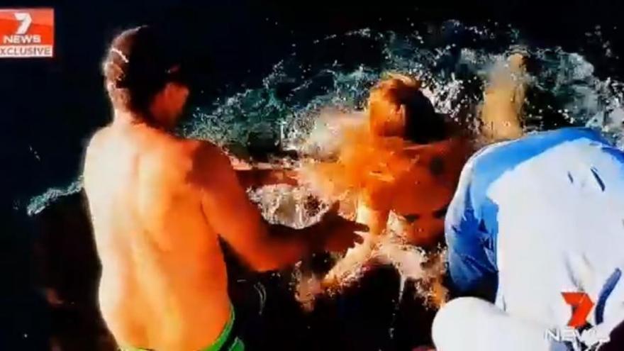 Una mujer da de comer con la mano a un tiburón y casi la arrastra al agua
