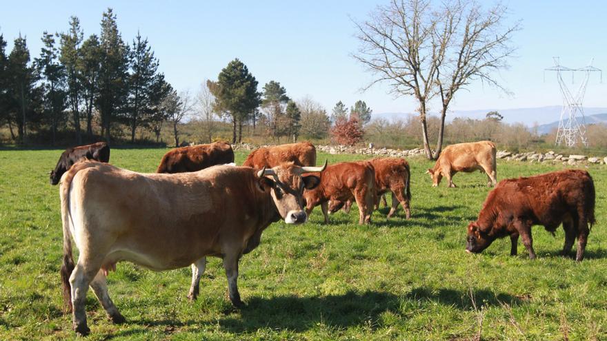 España perdió más de 7.700 empresas agrarias durante la cuesta de enero