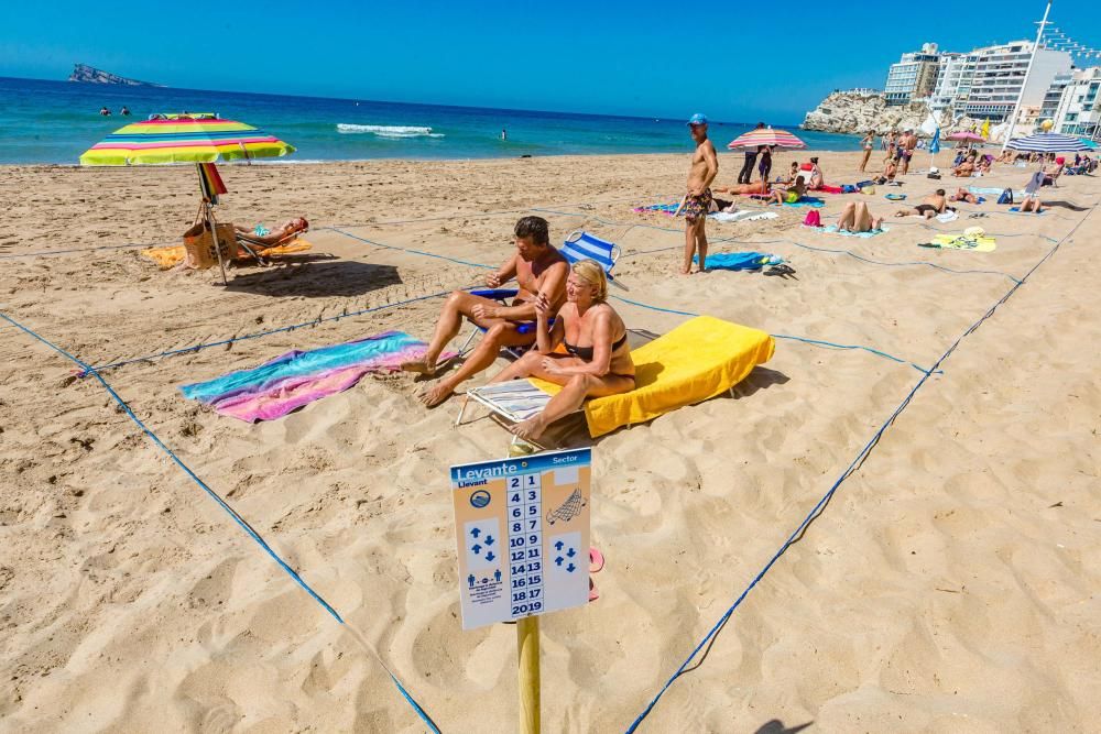 Quejas de usuarios en la apertura de las playas parceladas en Benidorm