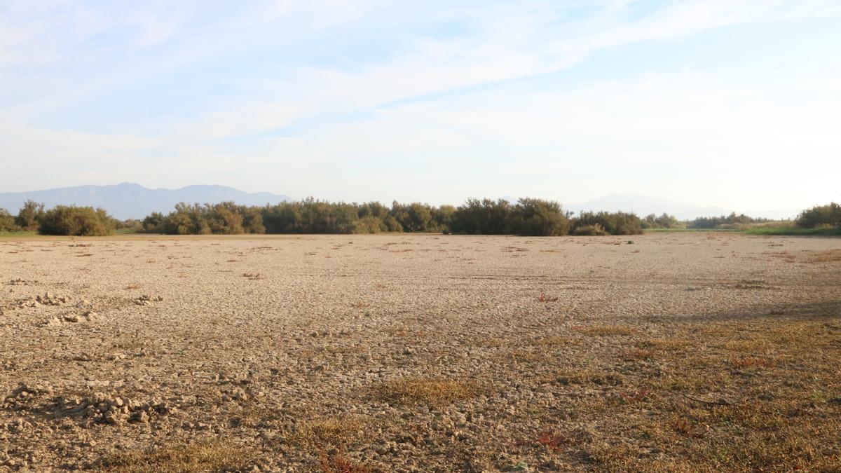 L&#039;estany del Cortalet, completament sec