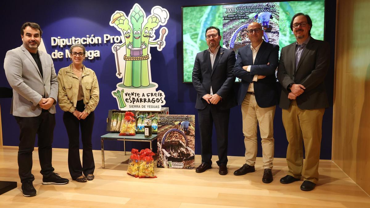 Sierra de Yeguas celebra este fin de semana su XXIII Feria del Espárrago y Agricultura Ecológica