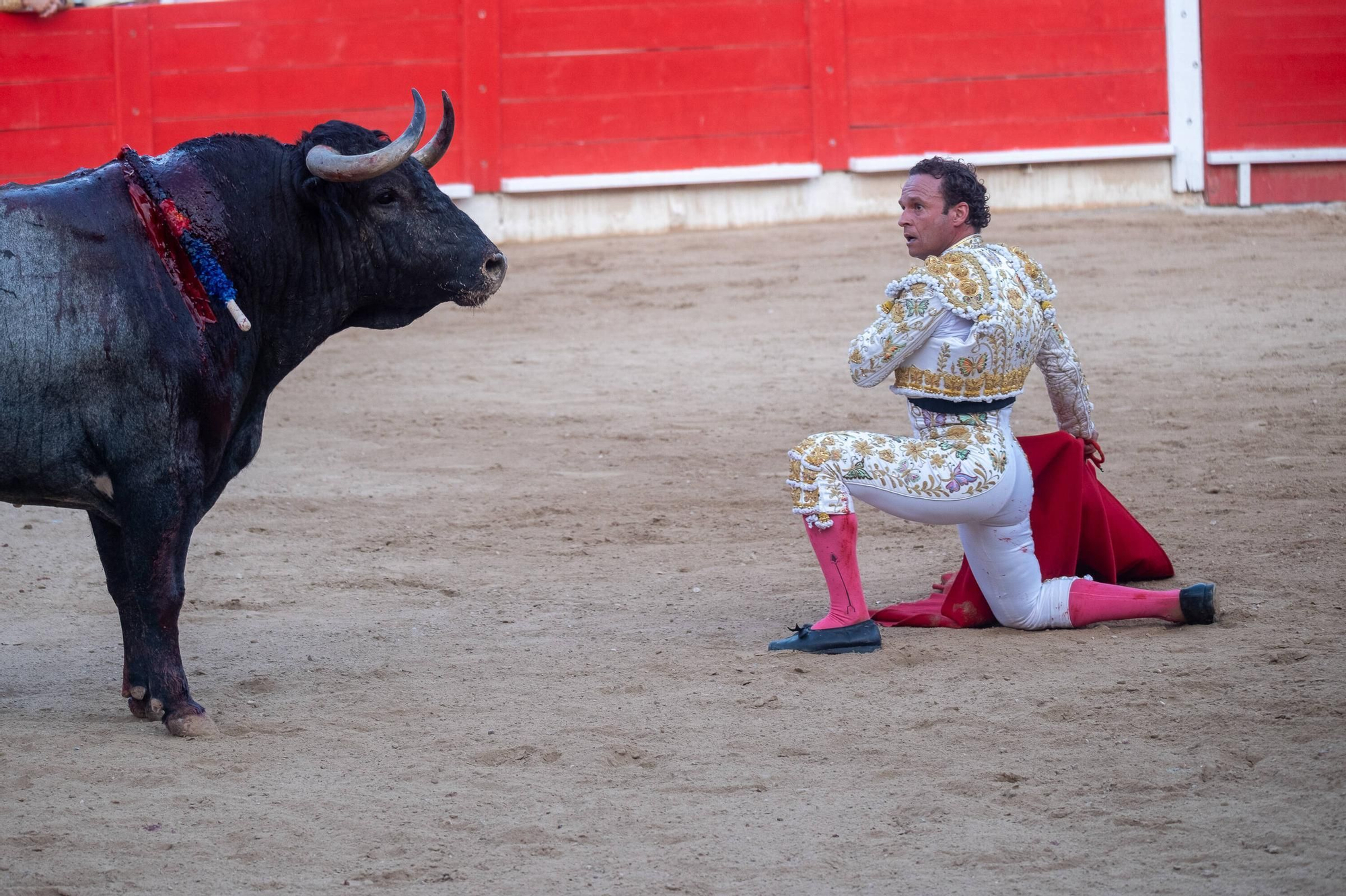 FOTOS | Corrida de toros mixta, concurso de ganaderías